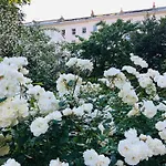Large Group Friendly South Belgravia 4Br Apt
