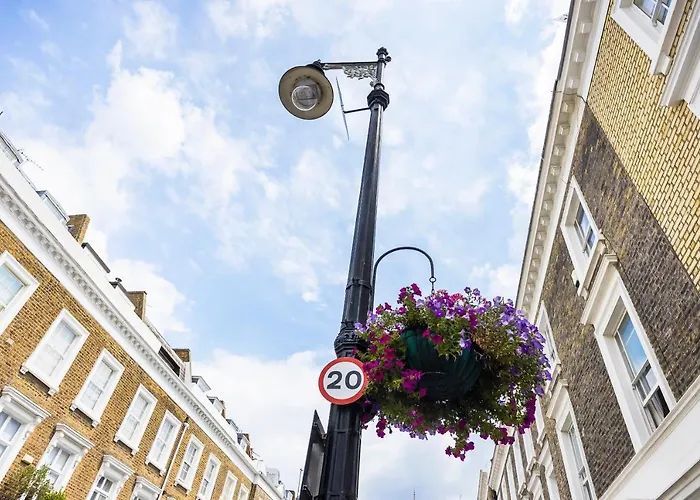 Pimlico Hub