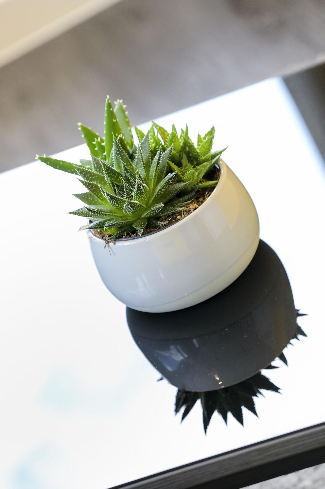 Dockside At Excel Aparthotel London