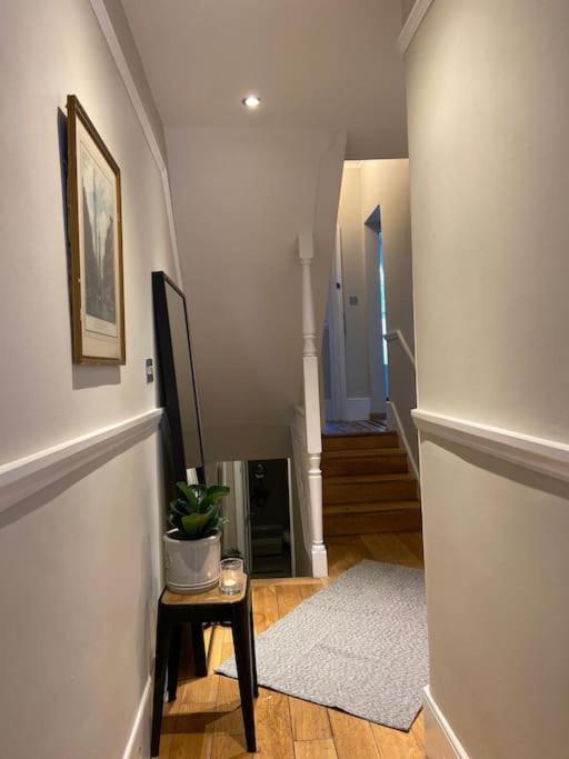 Apartment Ivy House-period Garden Flat Chelsea/fulham *