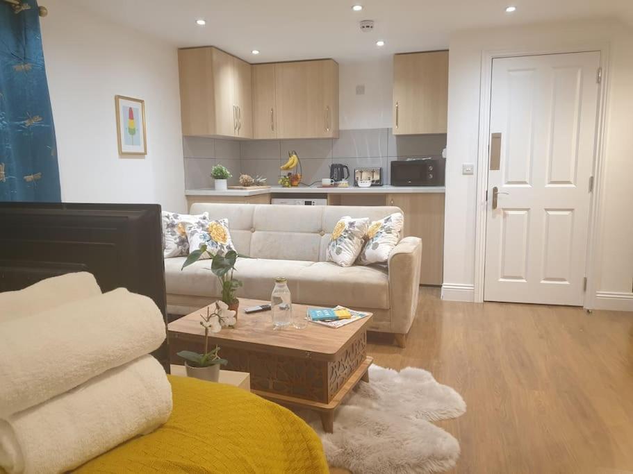Apartment New - Bright Studio Loft King Bed In Quiet Street Near Parks 1074 Lo London