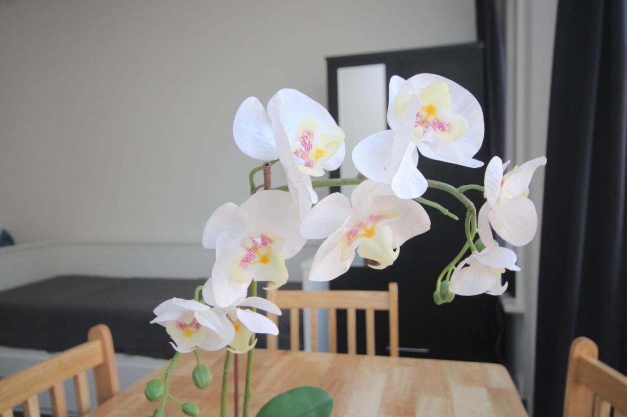 Apartment Fantastic Flat In Marylebone