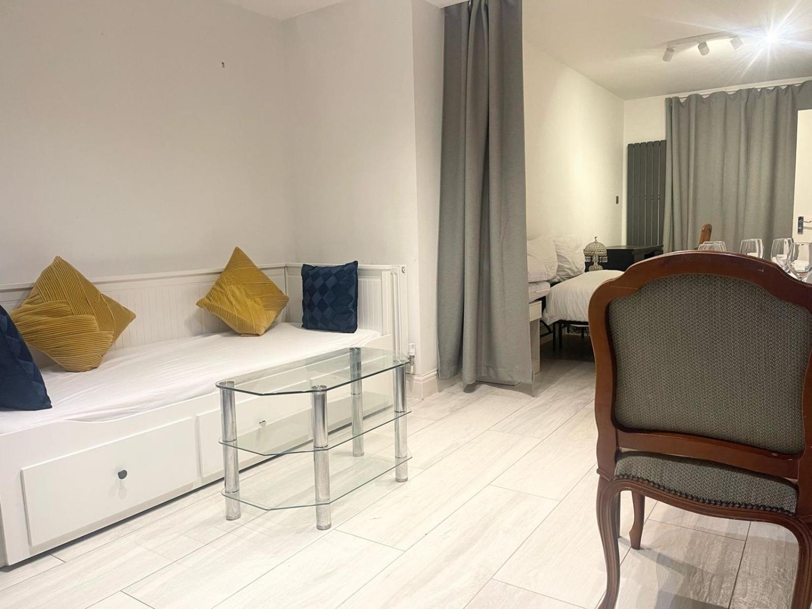 Large Studio With Extra Sofa Bed And Private Bath Plus Kitchen Canary Wharf 1 Apartment