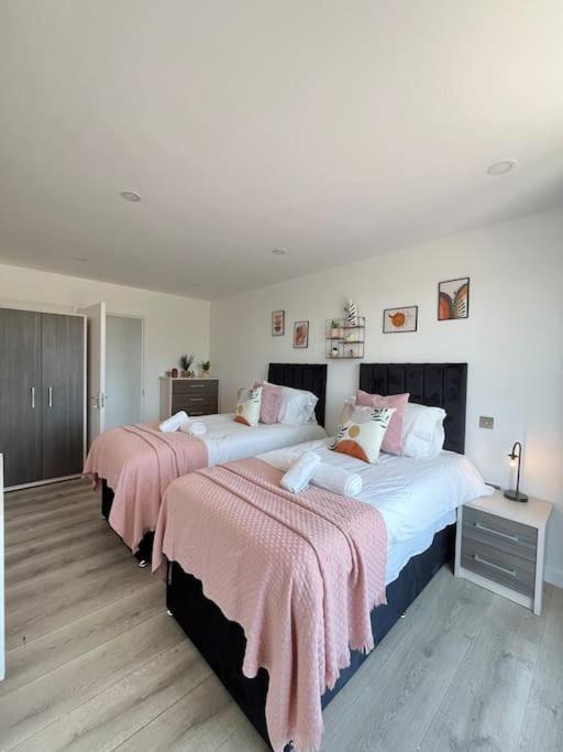 Apartment O2 Skyview Penthouse