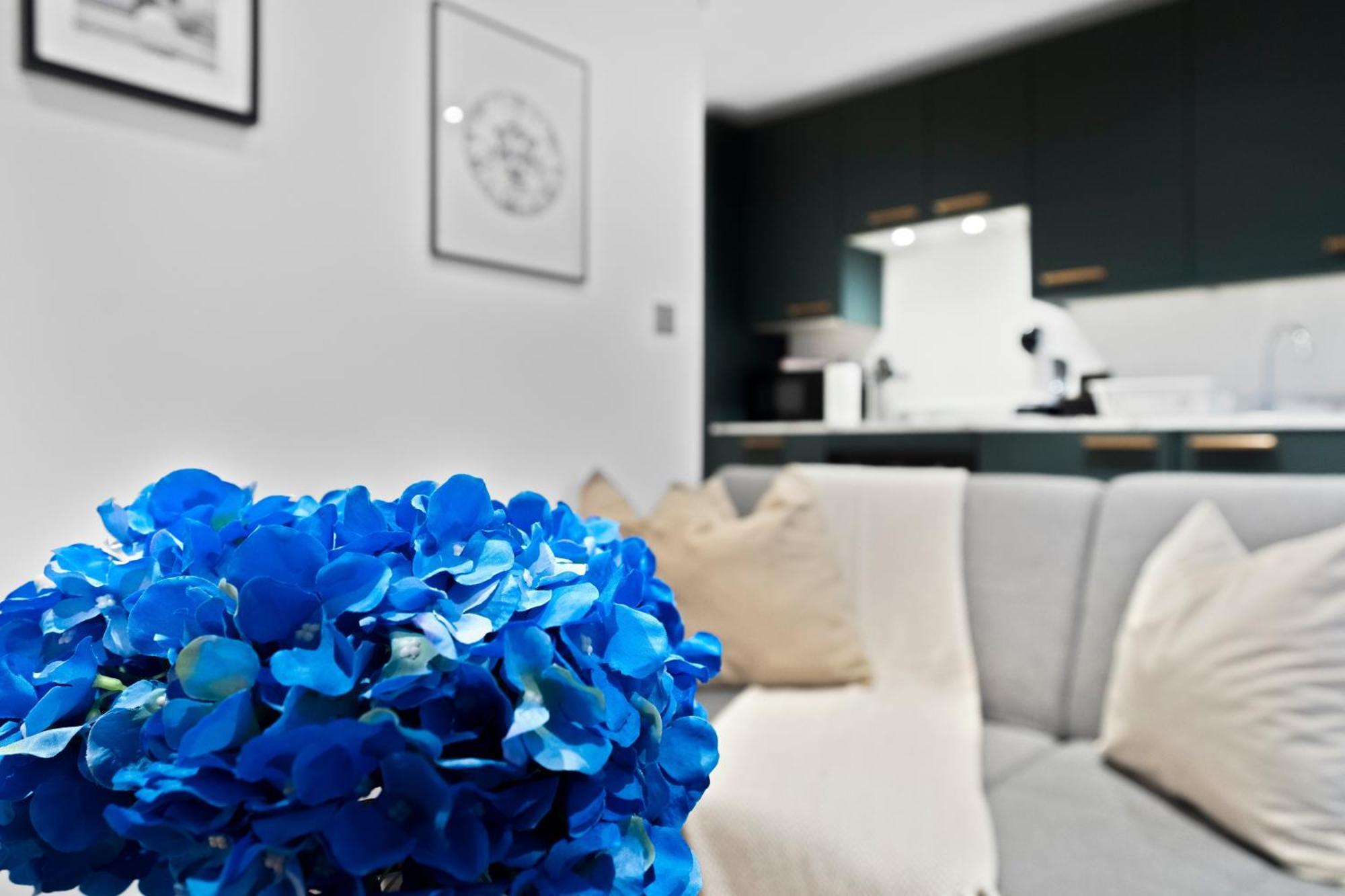 Modern With Free Wifi Apartment