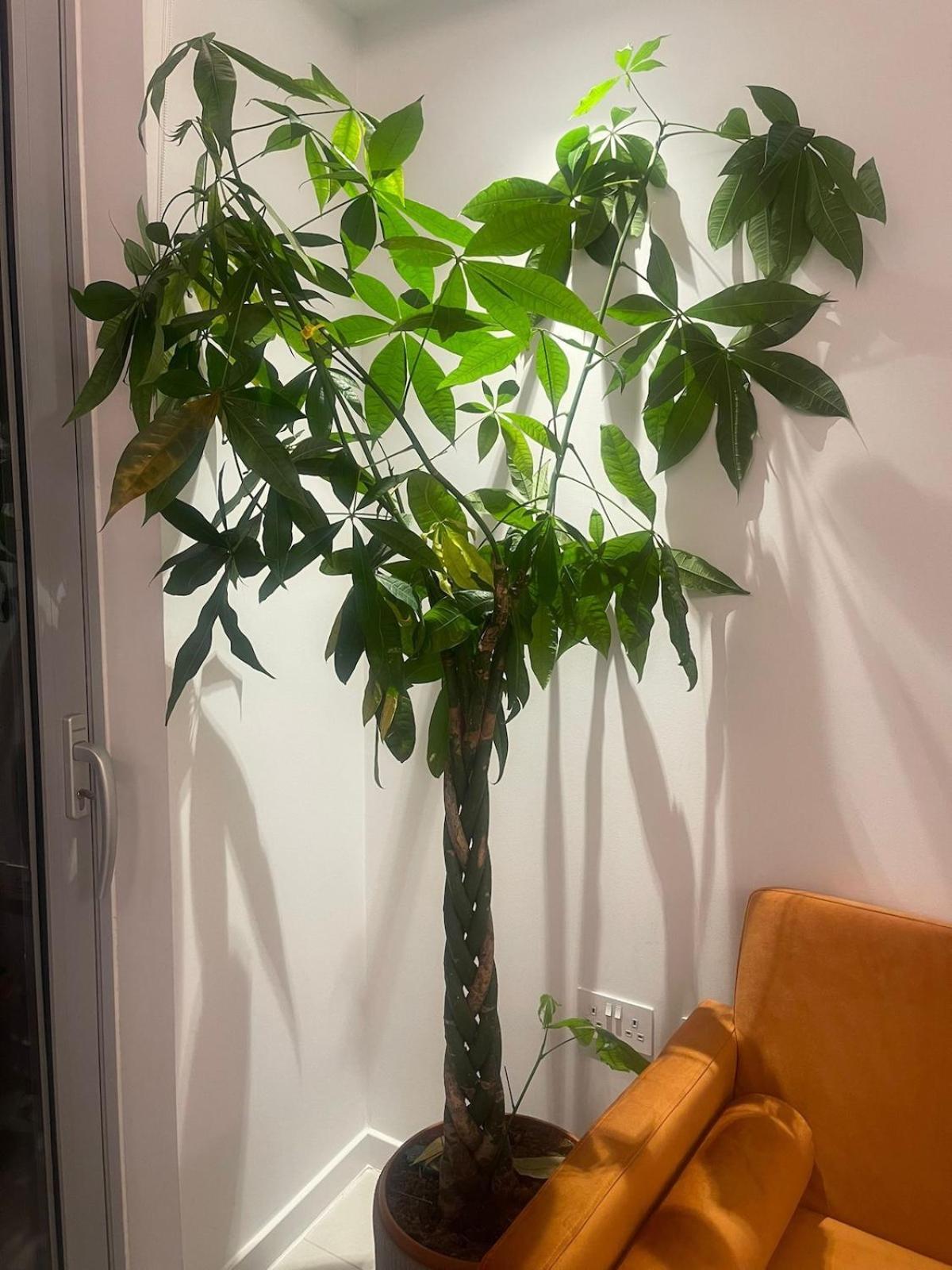 Luxury 1 Bedroom In With Free Parking Apartamento Londres