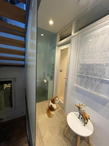 Modern Self-contained Ground And Basement