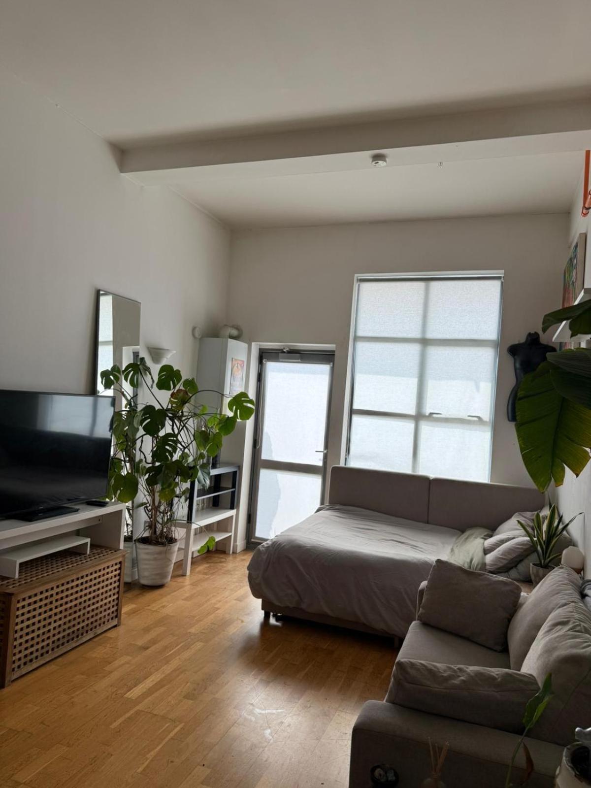 Cosy Private With Shared Bathroom Facilities Guest house *