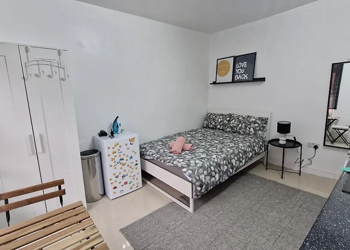 Small Cozy Studio Zone 1 London