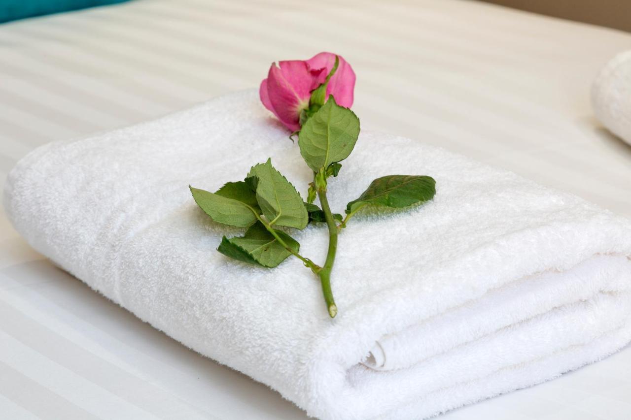 Deluxe Of Apartment