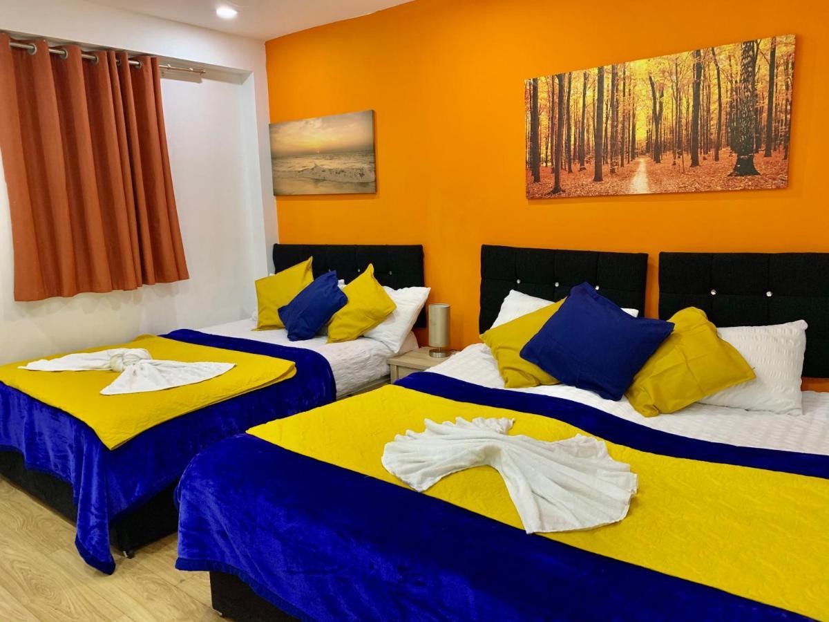2 Bedroom Apartment, Kitchen, Reception And Private Garden London