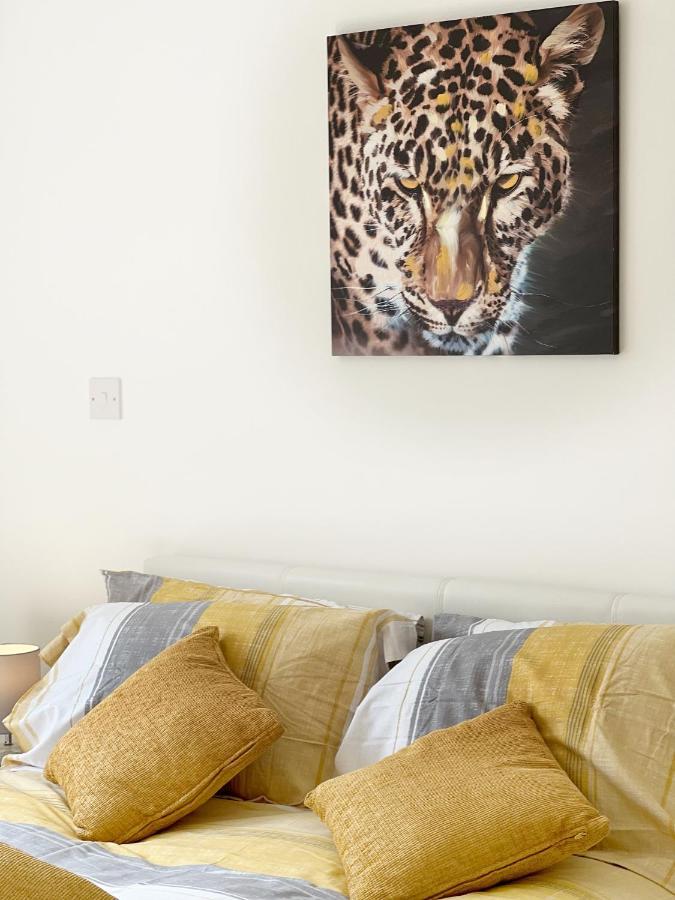 Lovely 1 Bedroom In South East Apartment