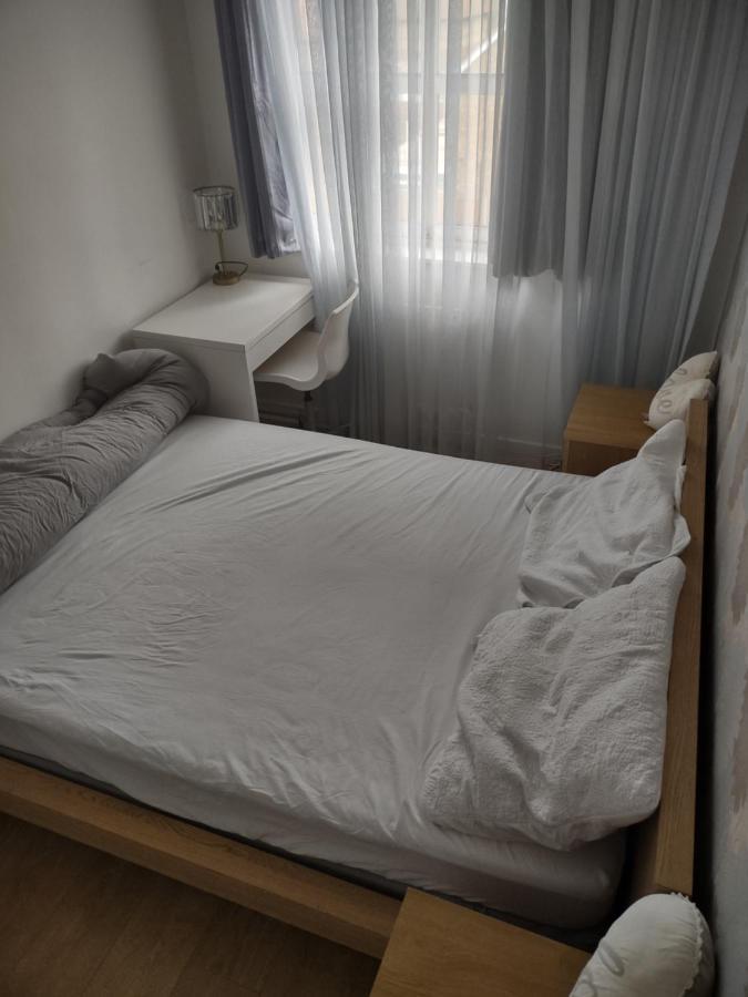 Quiet And Peaceful Double Bedroom In A Nice House With A Very Large Patio London