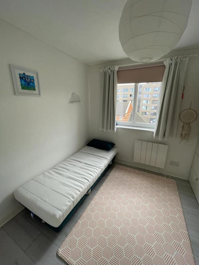 2bd Flat With Views Of Canary Wharf - Rotherhithe