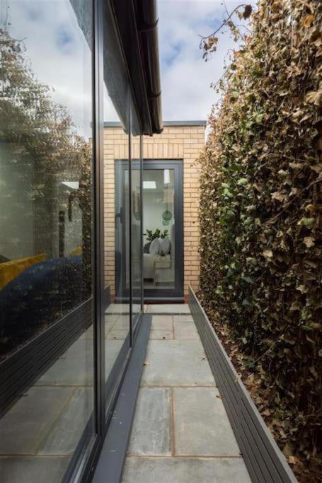 Cozy Leyton House With Garden And Small Terrace Apartamento Londres