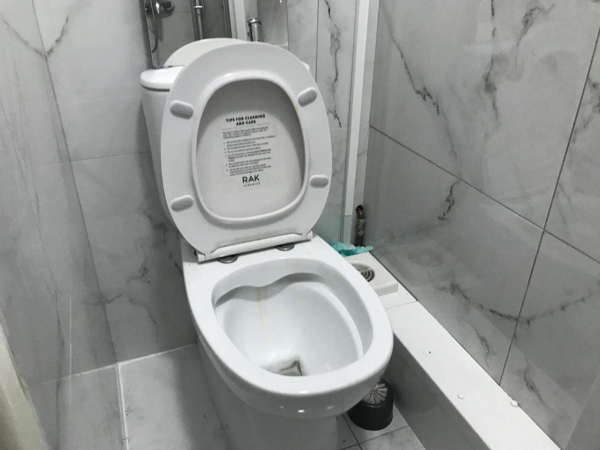 Ensuite With Kitchen Ext Large With Balcony In Zone 2 Apartment