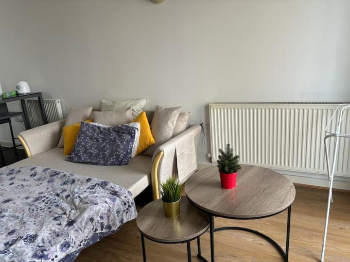 Cosy Near Greenwich Park Apartment