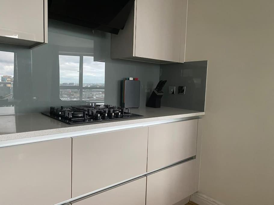 2 Bedroom Royal Docks Riverside Apartment London