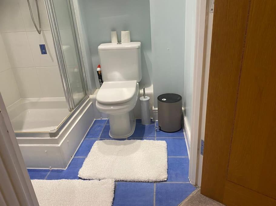 2 Bedroom Royal Docks Riverside Apartment London