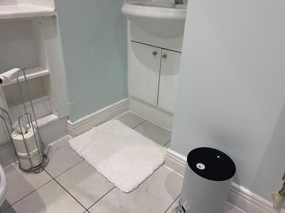 Apartment 2 Bedroom Royal Docks Riverside London