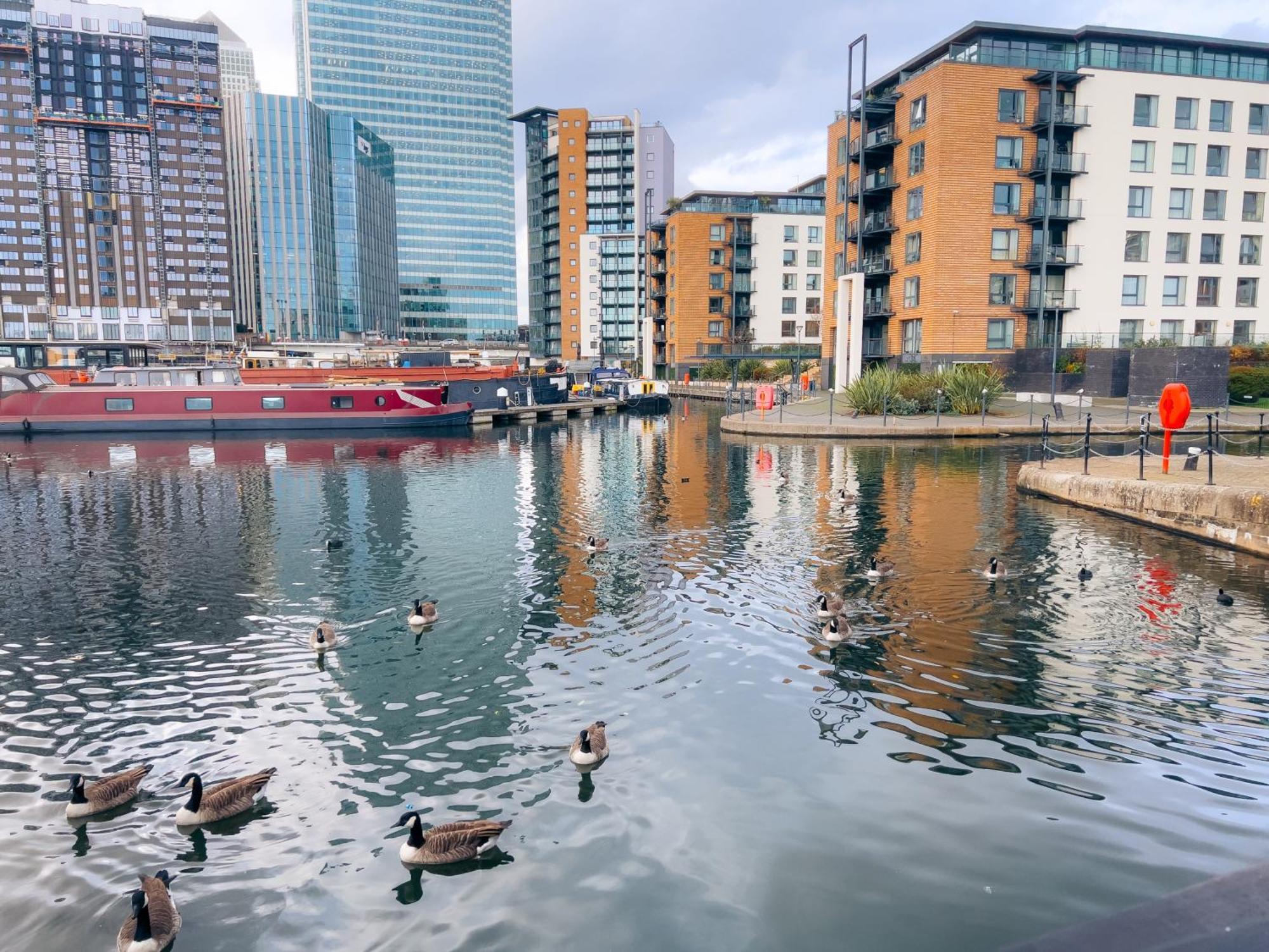 Private Garden Canary Wharf East Apartment
