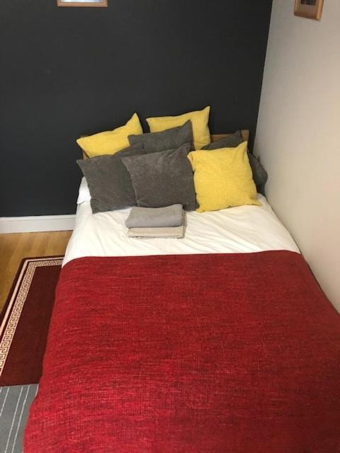 Casa de hóspedes Raspberry Lodge Londres
