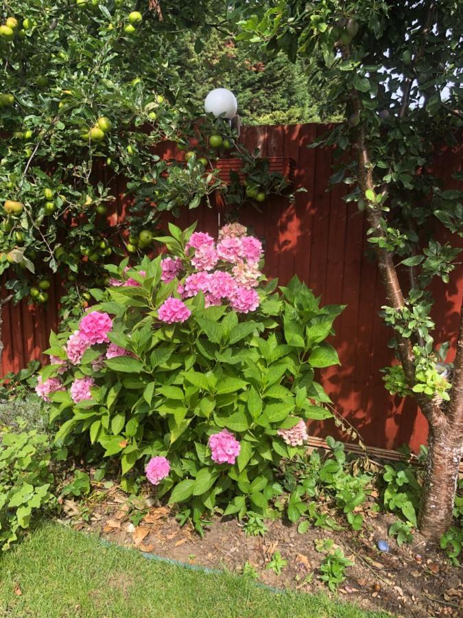 Eltham Flat London
