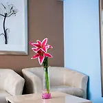 The New London Carlton Hotel