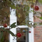 Beautiful London Home Sleeps 6, 2 Minutes To Metro