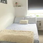 Nice Room On The Friendly Flat