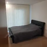 Cozy London Apartment Great For Professionals