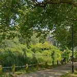3 Bedroom Magical Hampstead Heath
