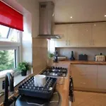 Lovely New Studio Flat - 24C