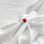 Oxford Circus - 20Min Tube ,1Gb Fibre Wifi, 2Min To Tube & Heathrow, Free Snacks & Toiletries, 2 New Smart Tvs & Sofabed