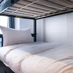 Piccadilly Wonderland Sleep 8 Vra