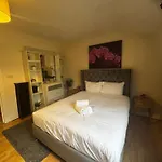 Comfortable Family Apartment Near Central London