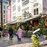 The Nordic Nook Marylebone