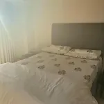 Flat In Upton Park 5 Mins Walk