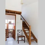 Charming Apartment In Zone 1