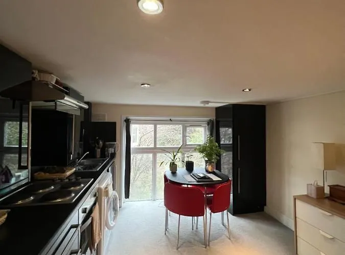 Comfy Apartment - Finchley Road