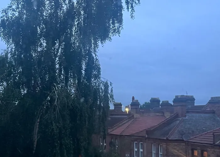 Cozy Flat In London