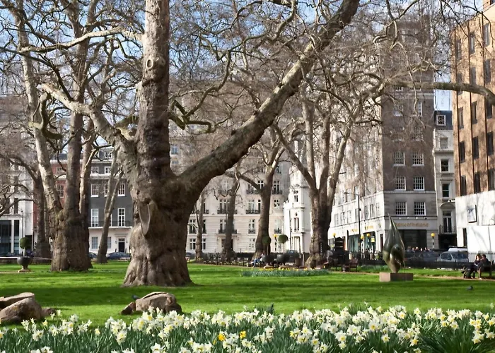Modern Flat In Mayfair