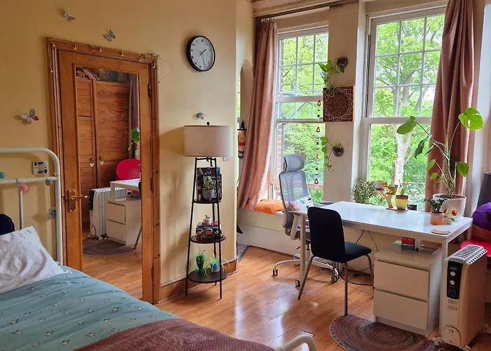 Cozy En-Suite Studio - Bright, Central & Green