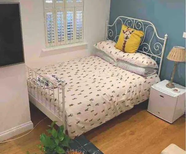 Mock Georgian, Modern Hackney Delight