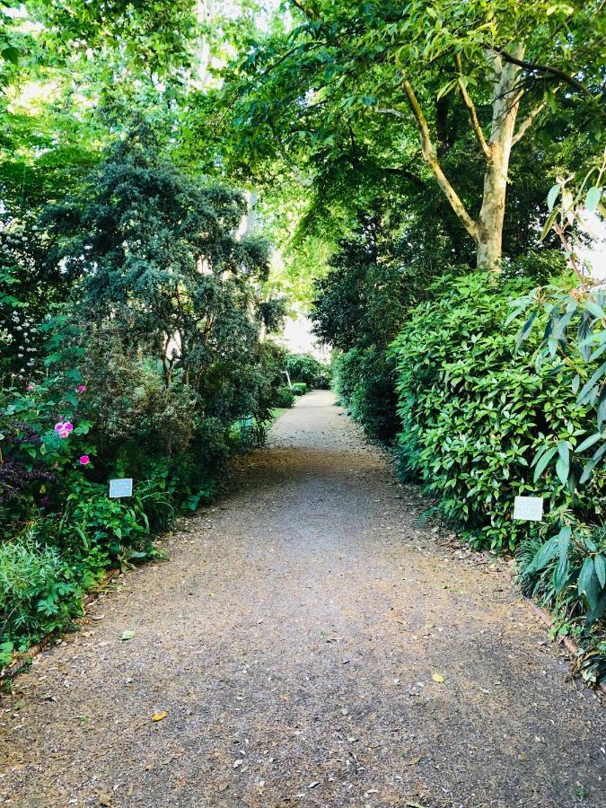 Southern Belgravia London
