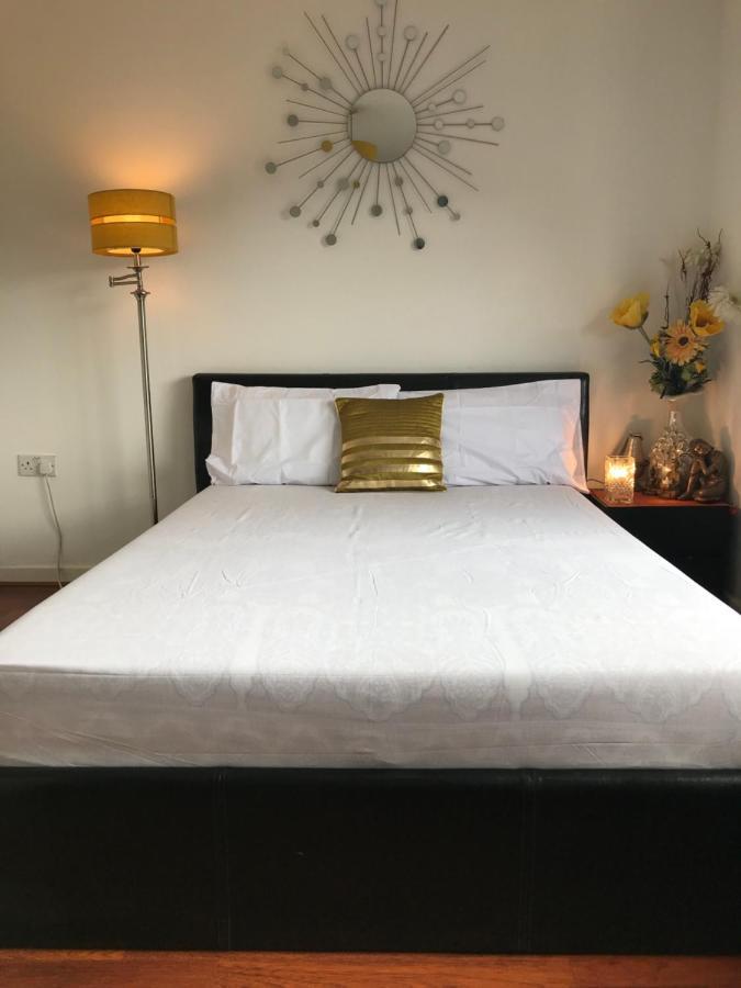 Spacious House 15min To Canary Wharf/o2/excel/central Holiday home London