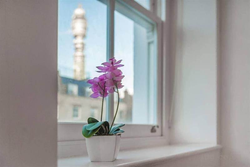 Apartment Ideal One Bedroom Close To Oxford Circus Area, Vr