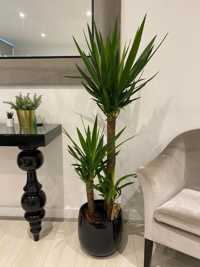 Aparthotel Kings Road With En-suite Bath Londres