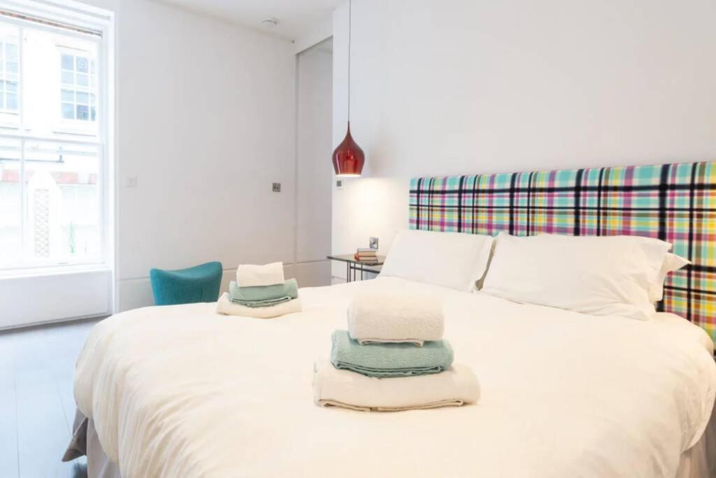 Apartment Superb Near Buckingham Palace London