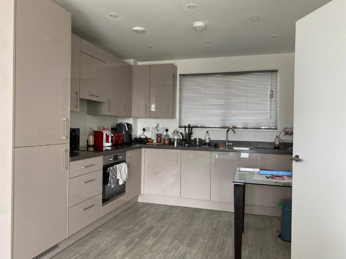 Entire Riverside With Balcony Apartment London